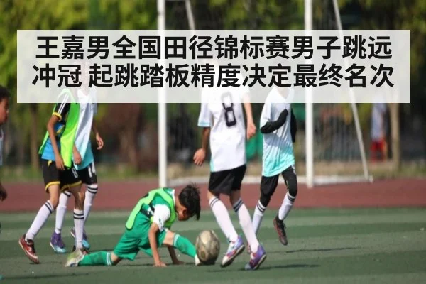 王嘉男全国田径锦标赛男子跳远冲冠 起跳踏板精度决定最终名次